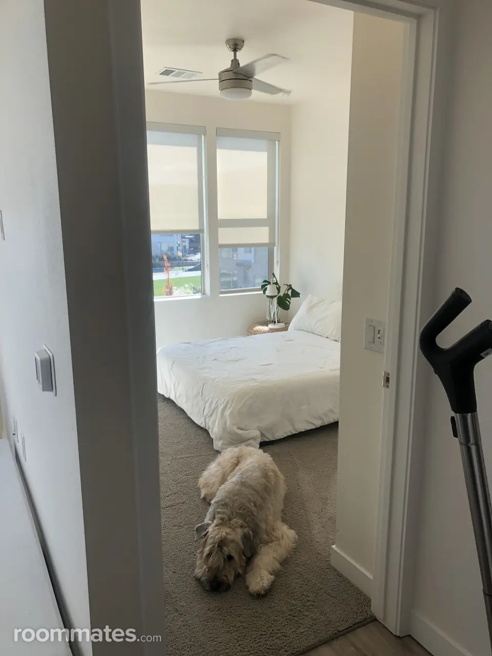 Profile photo 2 of 5