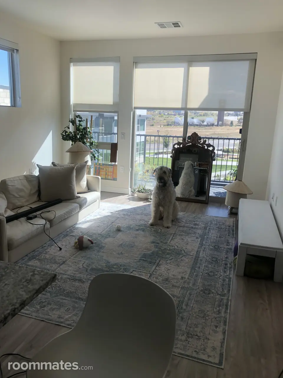 Profile photo 1 of 5