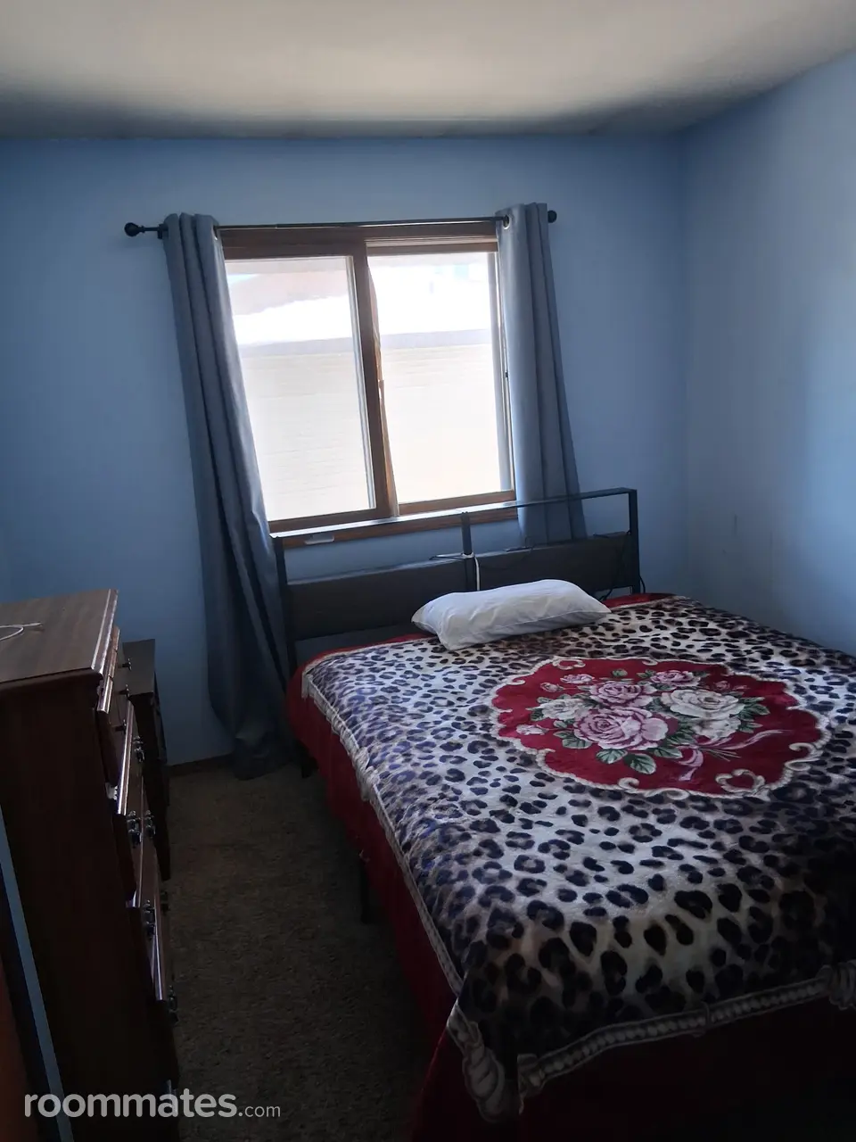 Profile photo 3 of 11