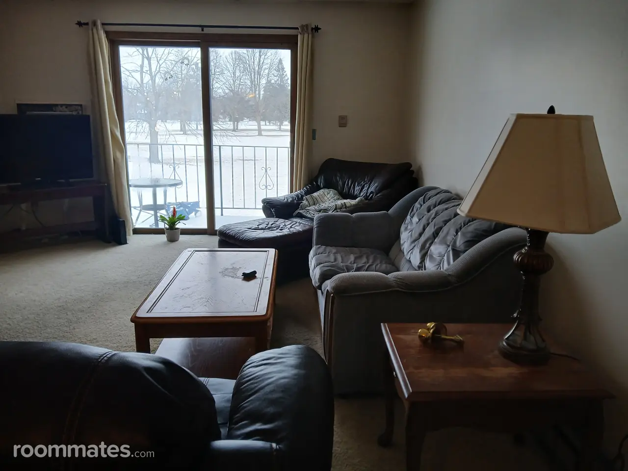 Profile photo 8 of 11