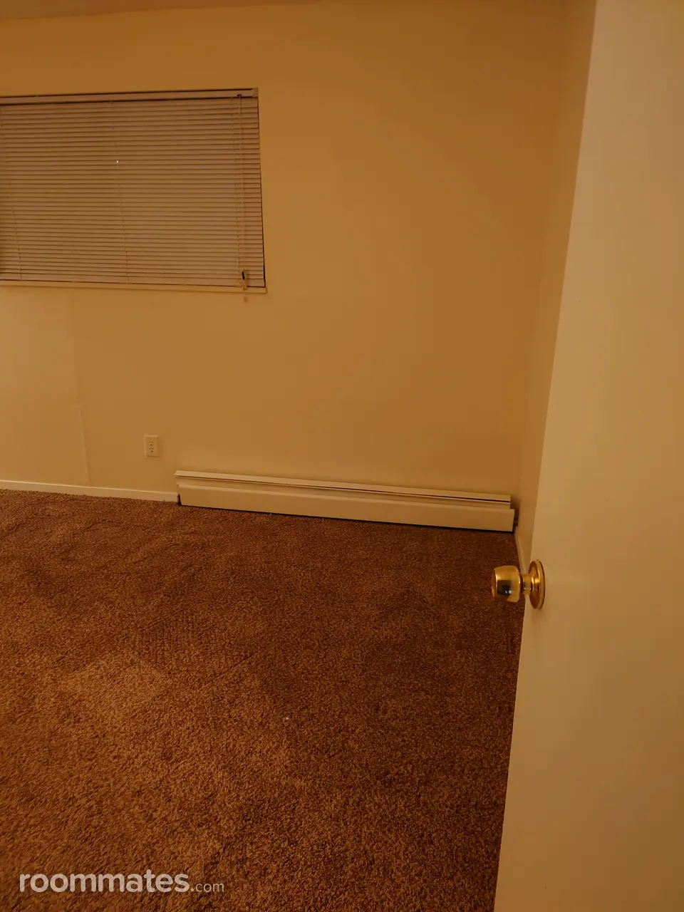 Profile photo 1 of 6