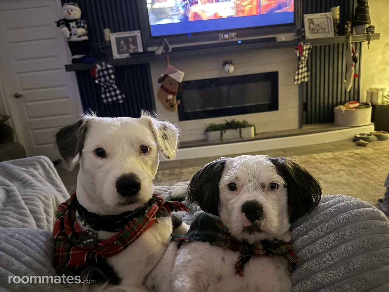 Profile photo 4 of 6