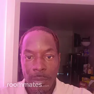 Roommate looking Phoenix, AZ, $300