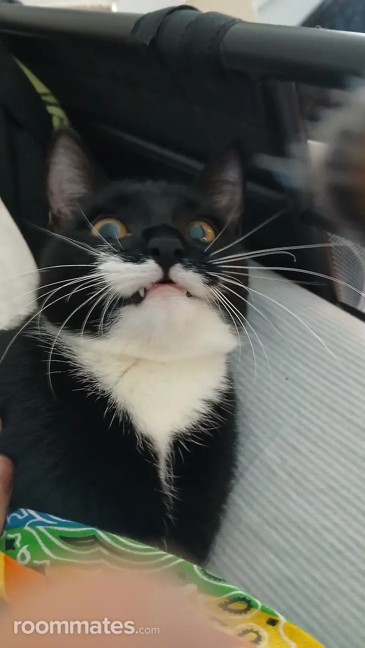 Profile photo 3 of 4