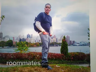 Roommate looking New York, NY, $700