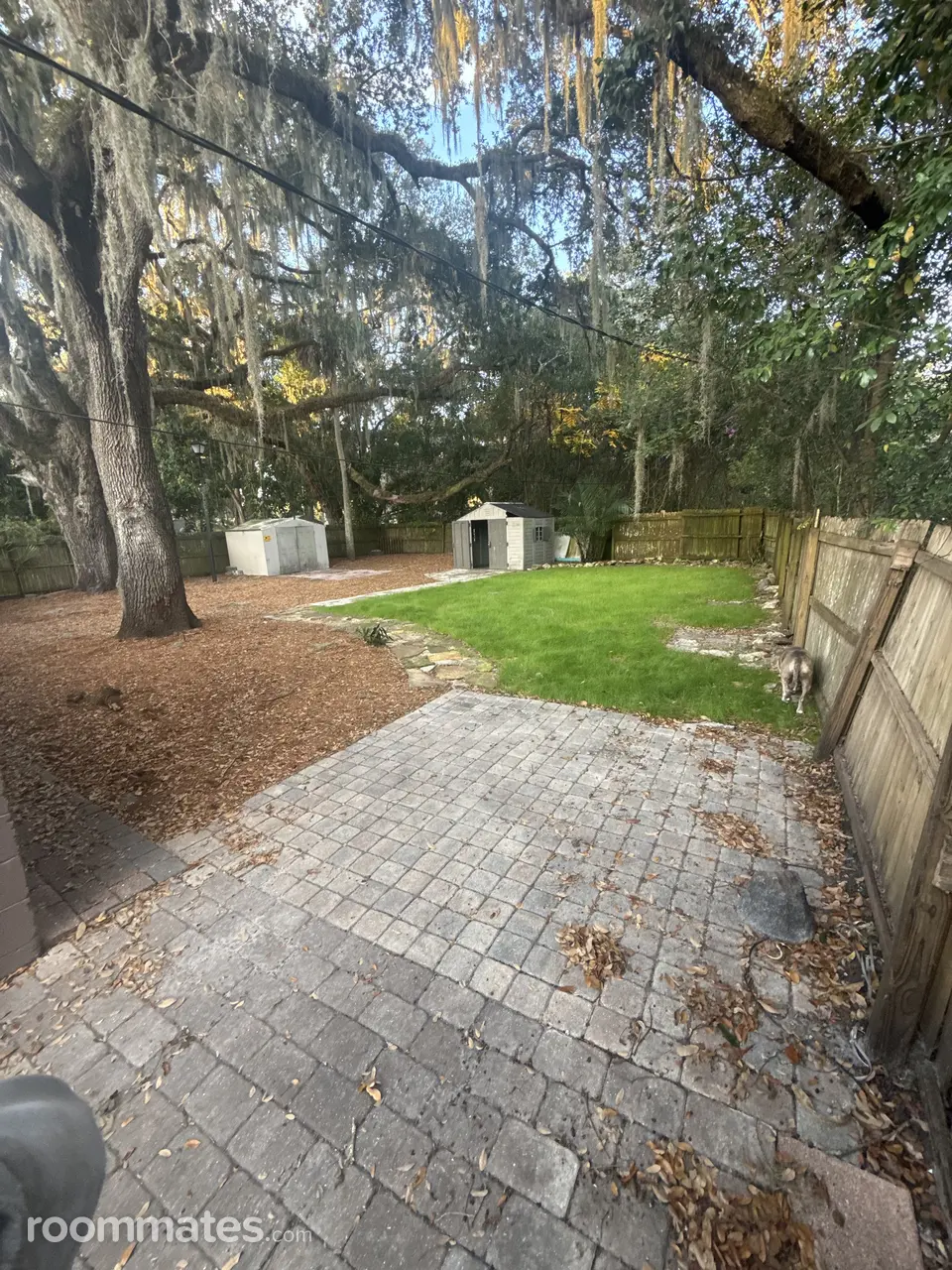 Profile photo 2 of 4