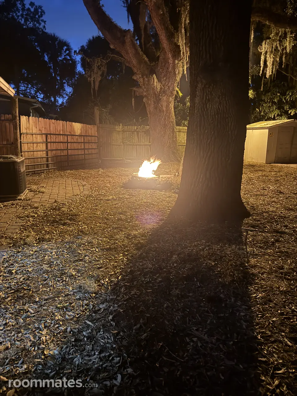 Profile photo 3 of 4