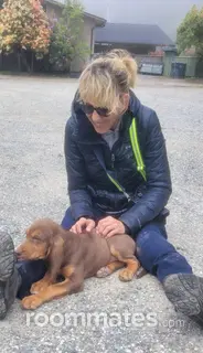 Roommate looking Eureka, CA, $600