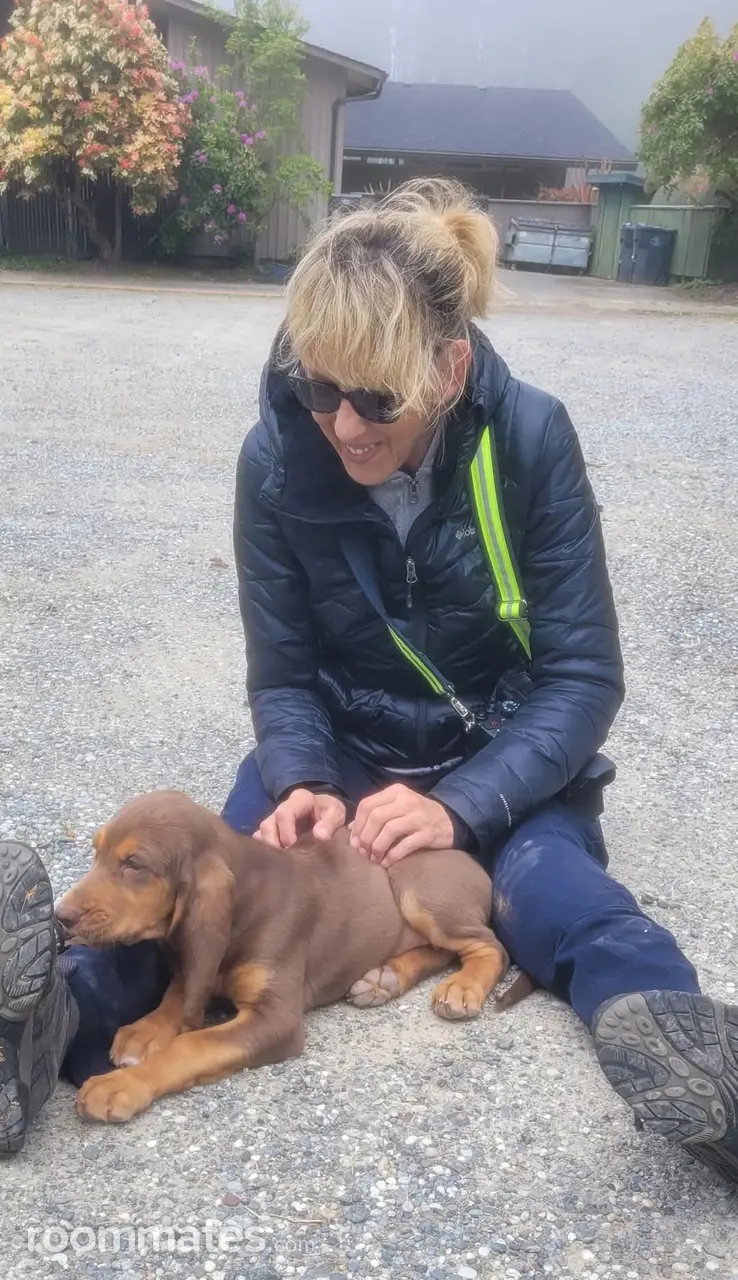 Profile photo 1 of 1