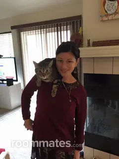 Roommate looking Kirkland, WA, $1100