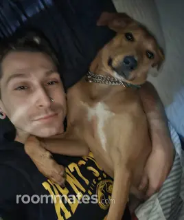 Roommate looking Lake Mary, FL, $600