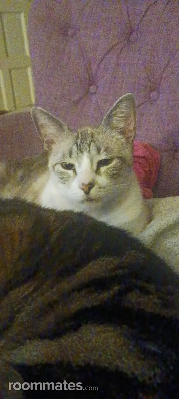 Profile photo 4 of 4