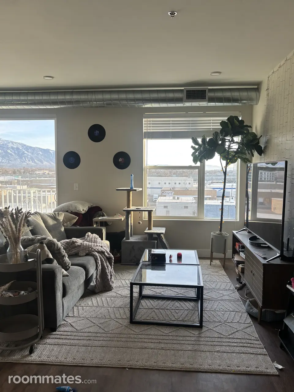 Profile photo 9 of 11