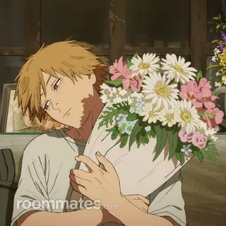 Roommate looking Rosharon, TX, $900