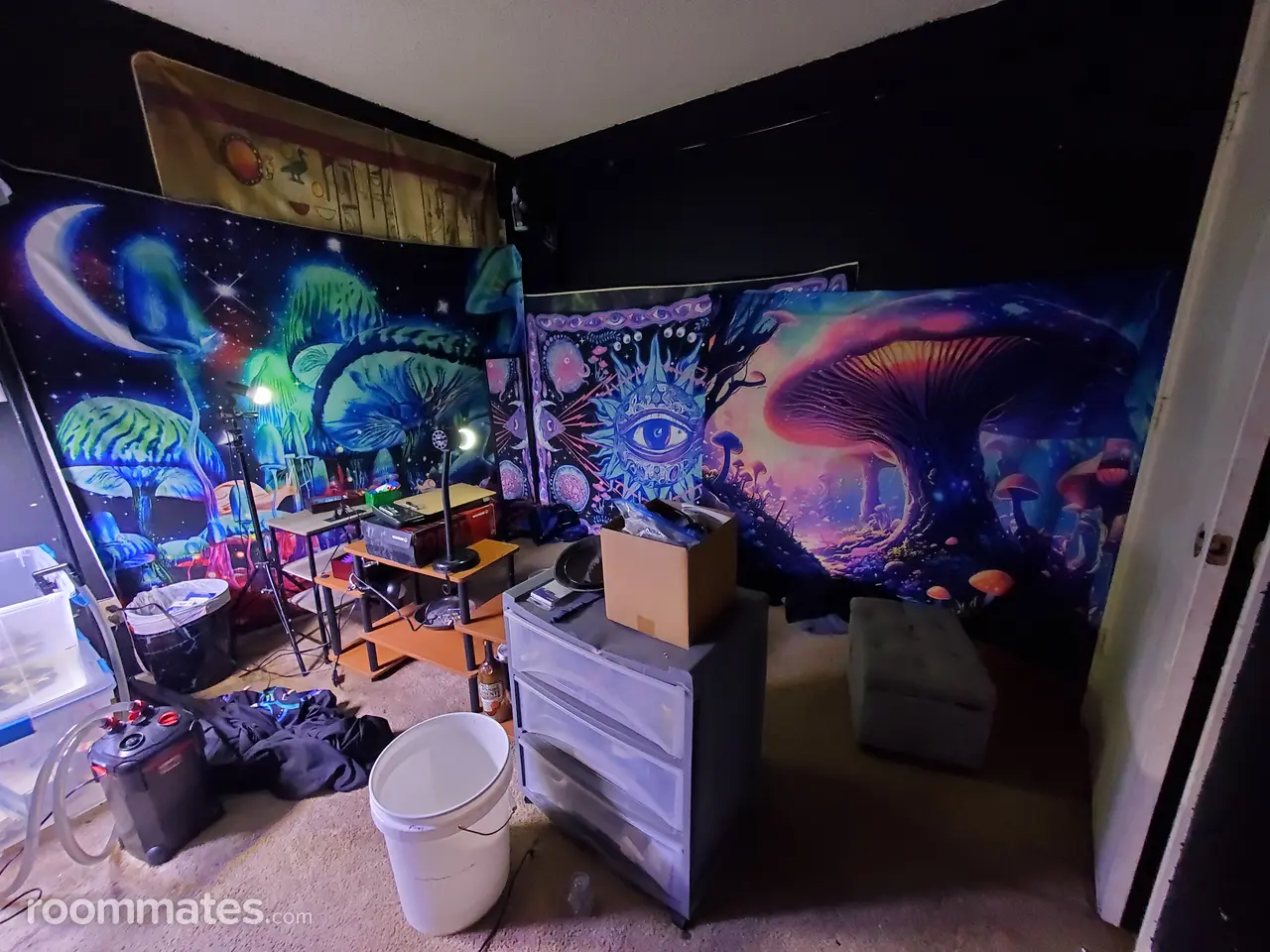 Profile photo 2 of 3