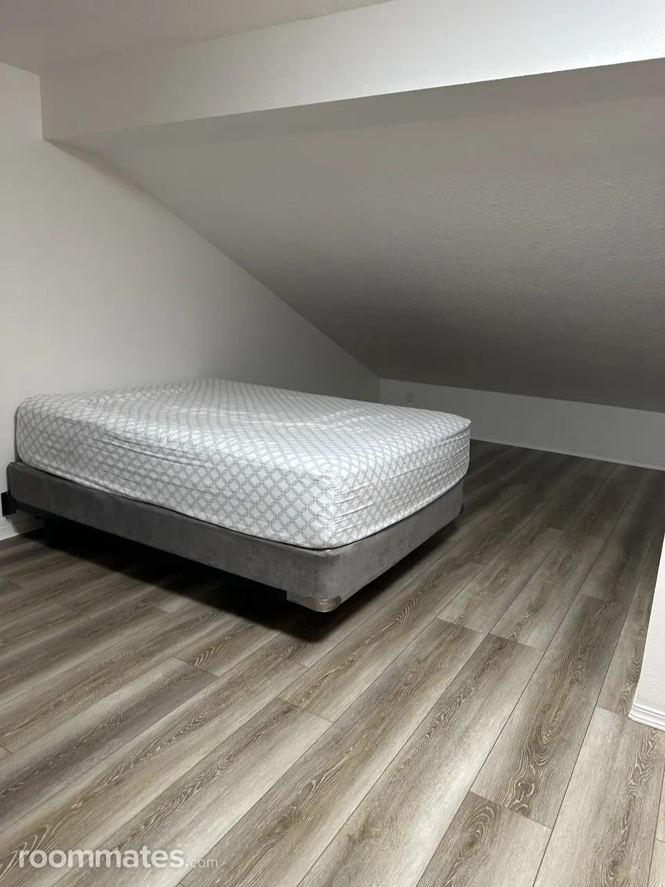 Profile photo 10 of 11