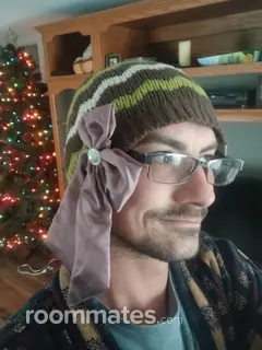 Roommate looking Springfield, MO, $900