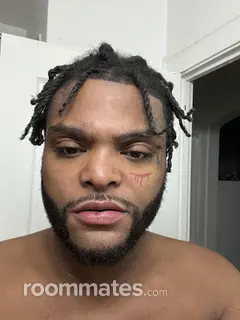 Roommate looking Chicago, IL, $800