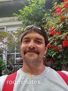 Roommate looking Jeffersonville, IN, $400