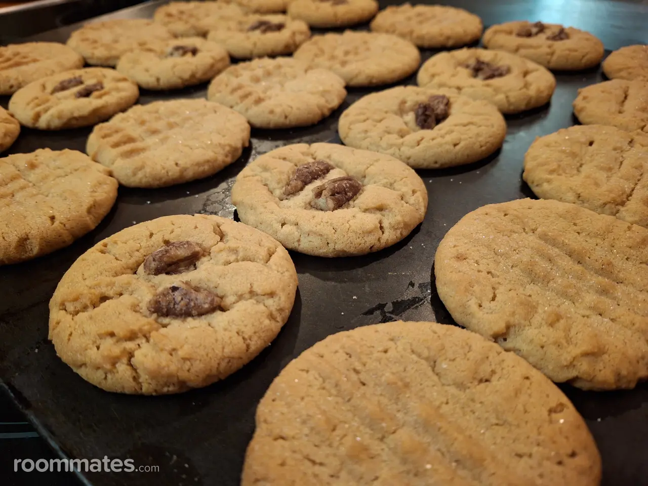 Profile photo 9 of 9