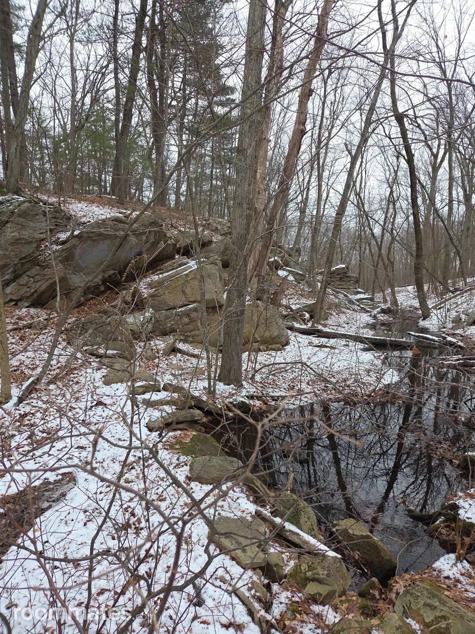 Profile photo 1 of 1