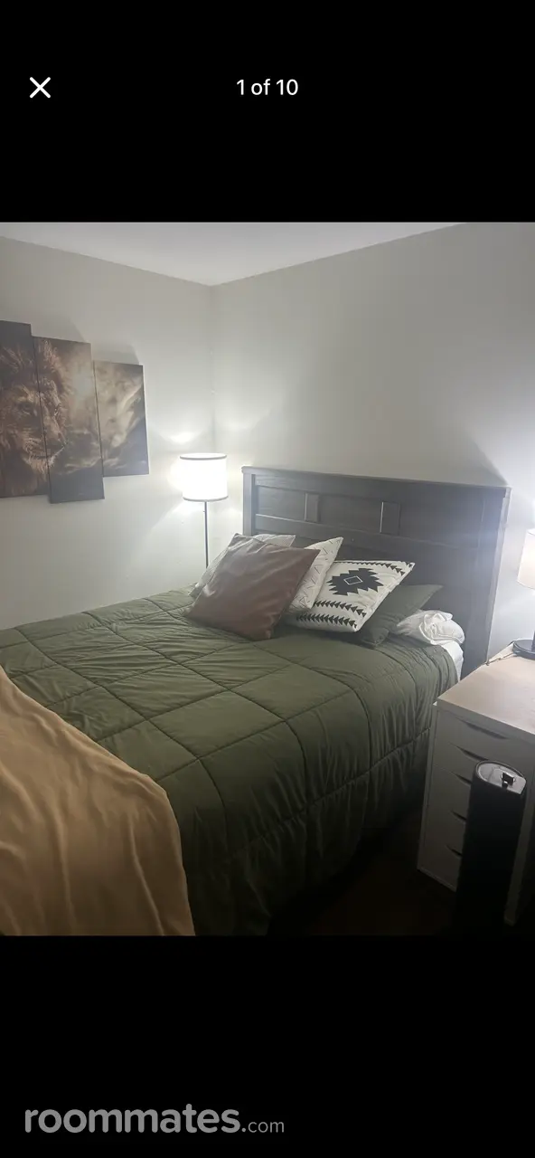 Profile photo 1 of 11