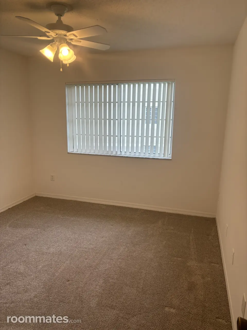 Profile photo 5 of 6