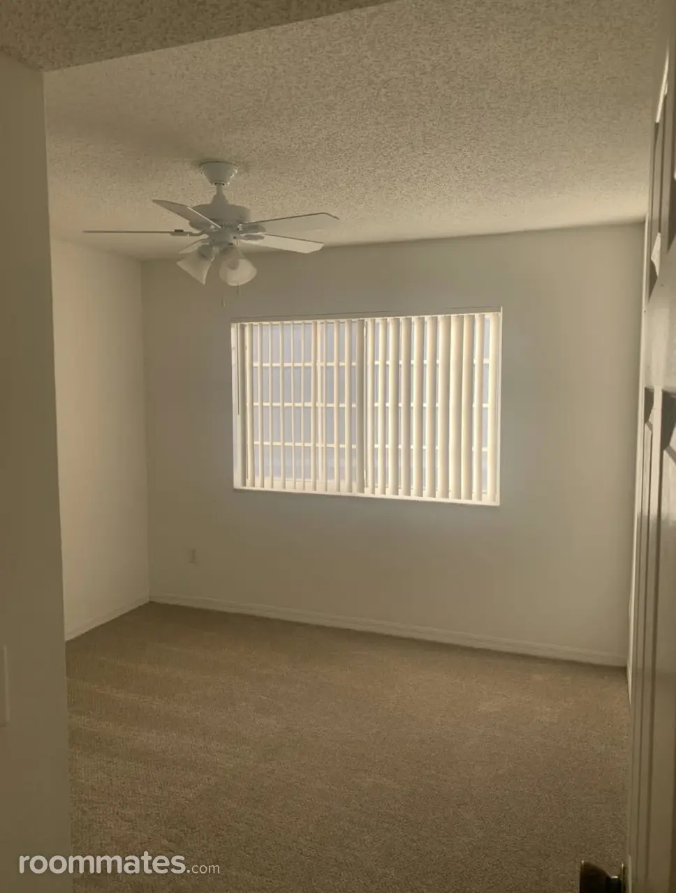 Profile photo 2 of 6