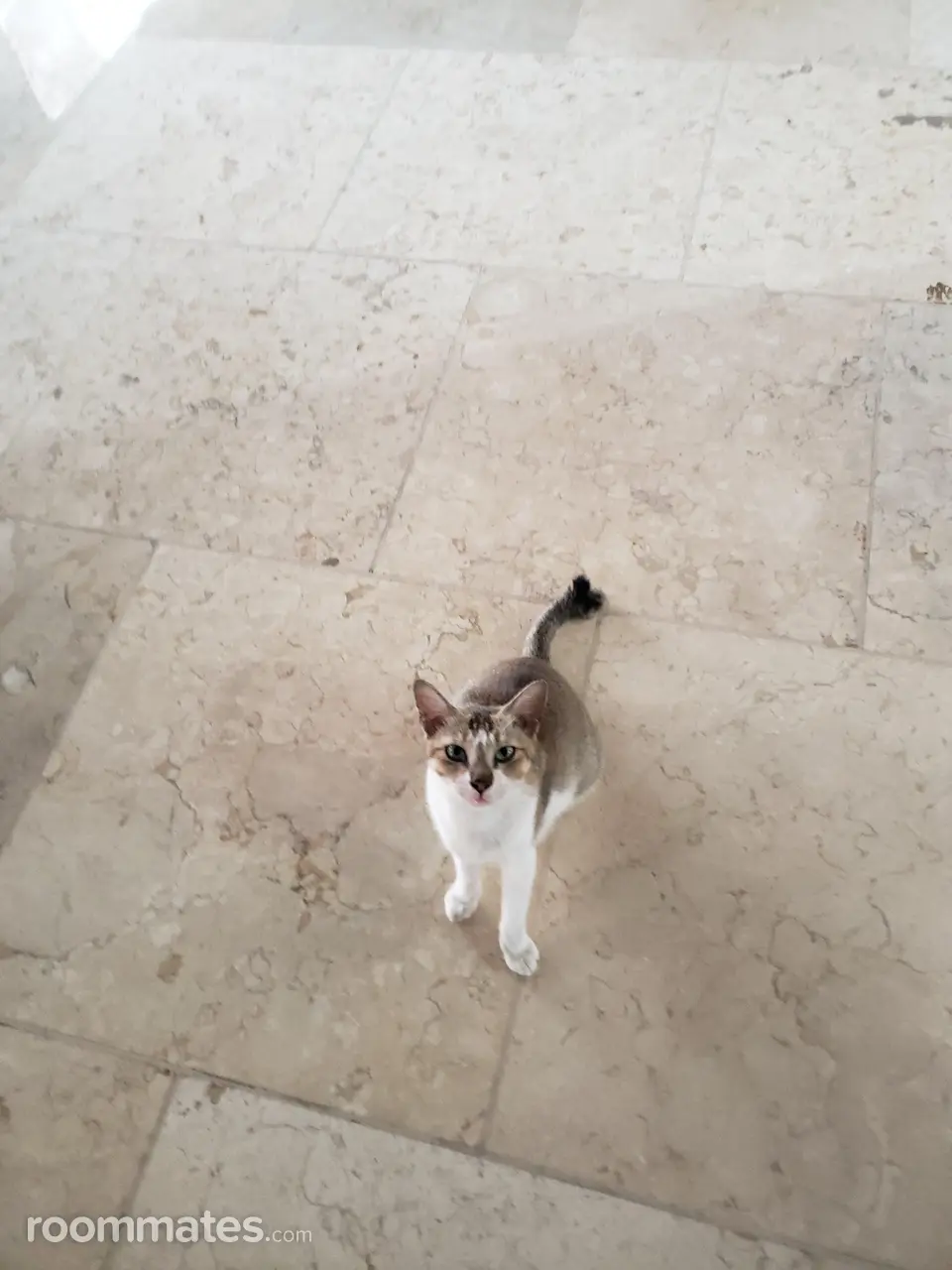 Profile photo 1 of 1