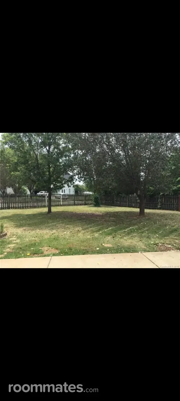 Profile photo 8 of 12