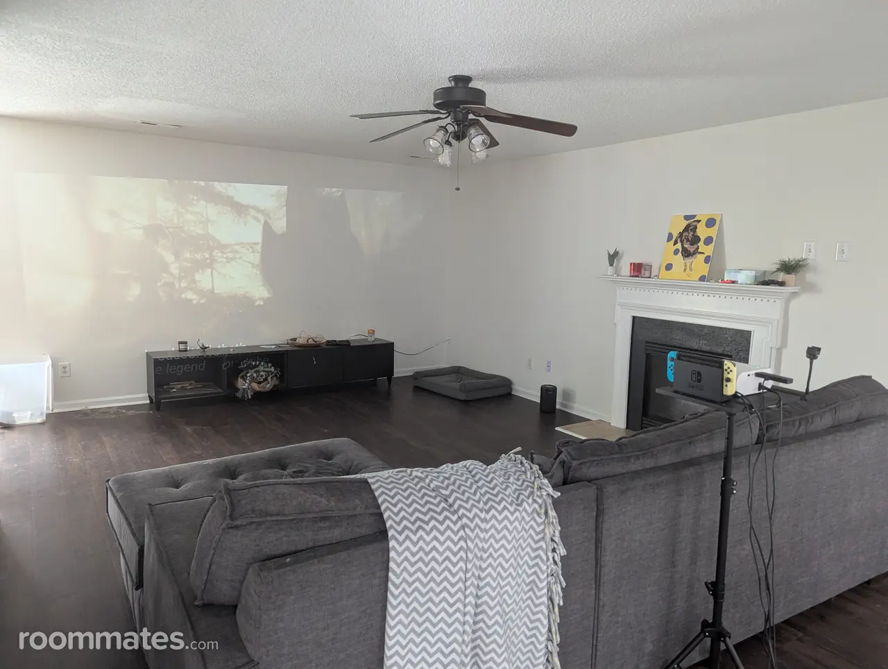 Profile photo 1 of 12