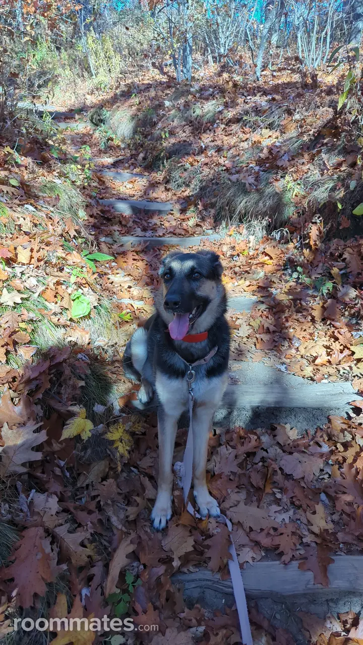 Profile photo 10 of 12