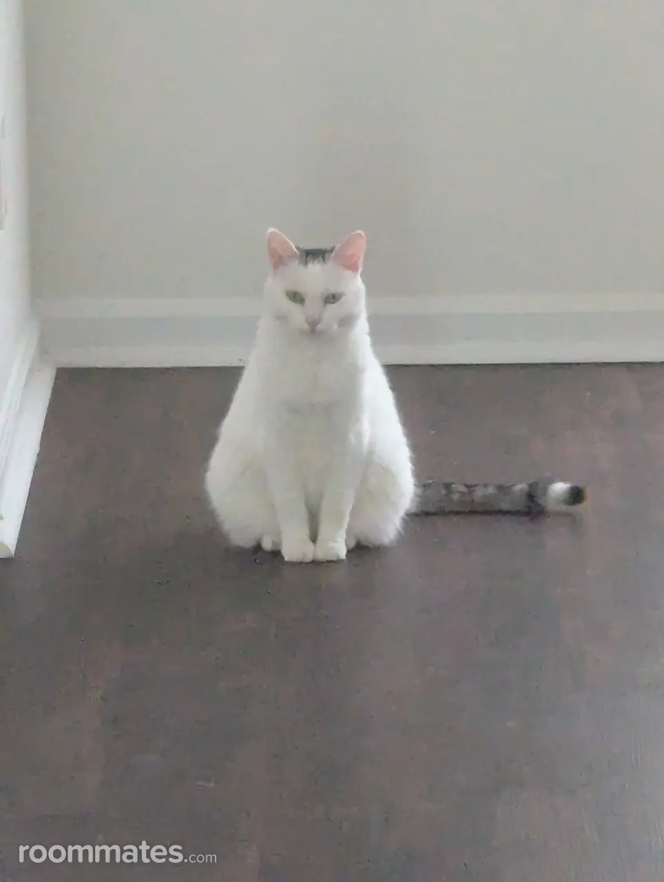 Profile photo 11 of 12