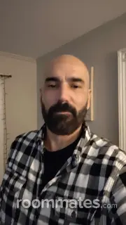 Roommate looking Portland, ME, $1300