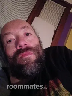 Roommate looking Rohnert Park, CA, $600