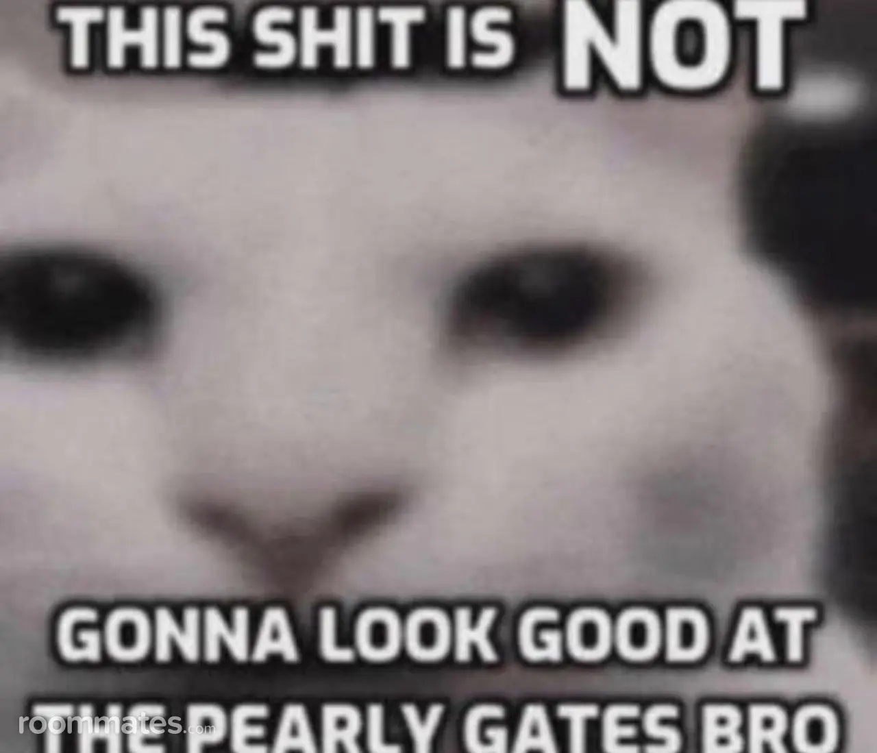 Profile photo 4 of 4