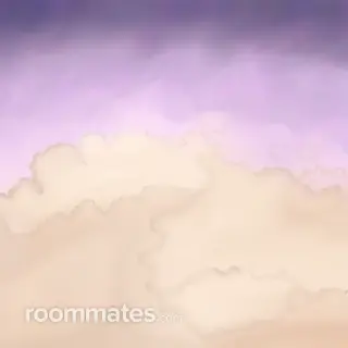 Roommate looking Greer, SC, $1000