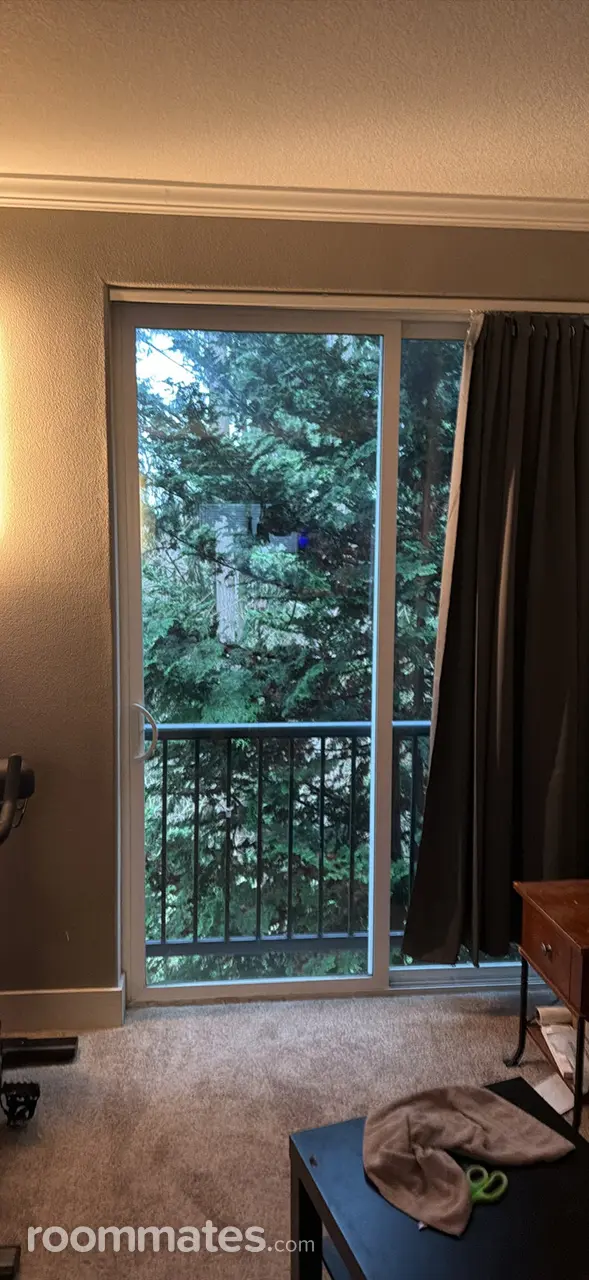 Profile photo 10 of 11