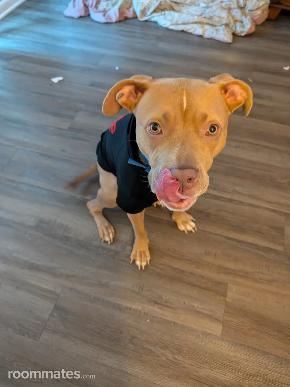 Profile photo 2 of 3