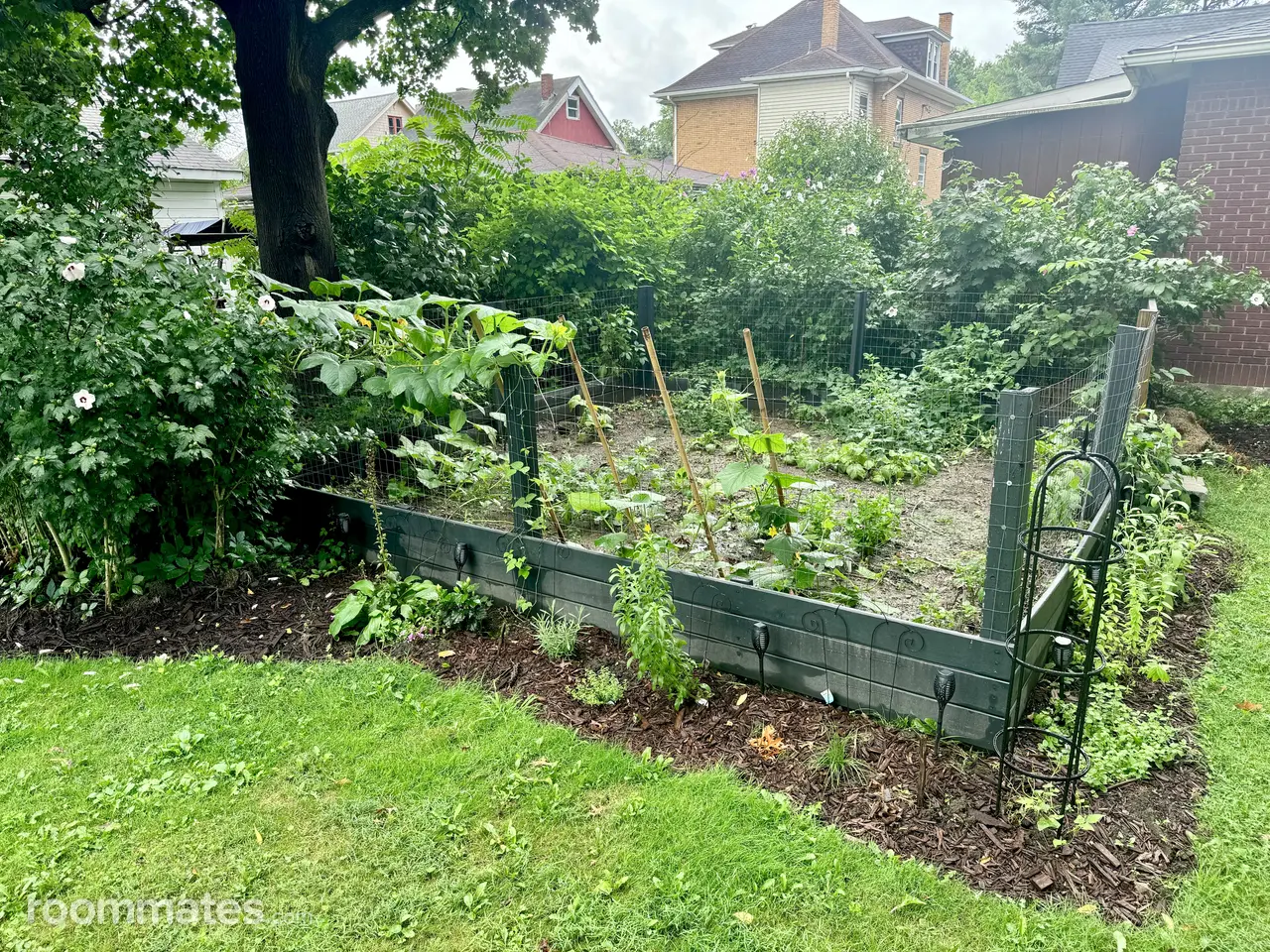 Profile photo 10 of 11