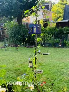 Room for rent in New Castle, PA $500, house