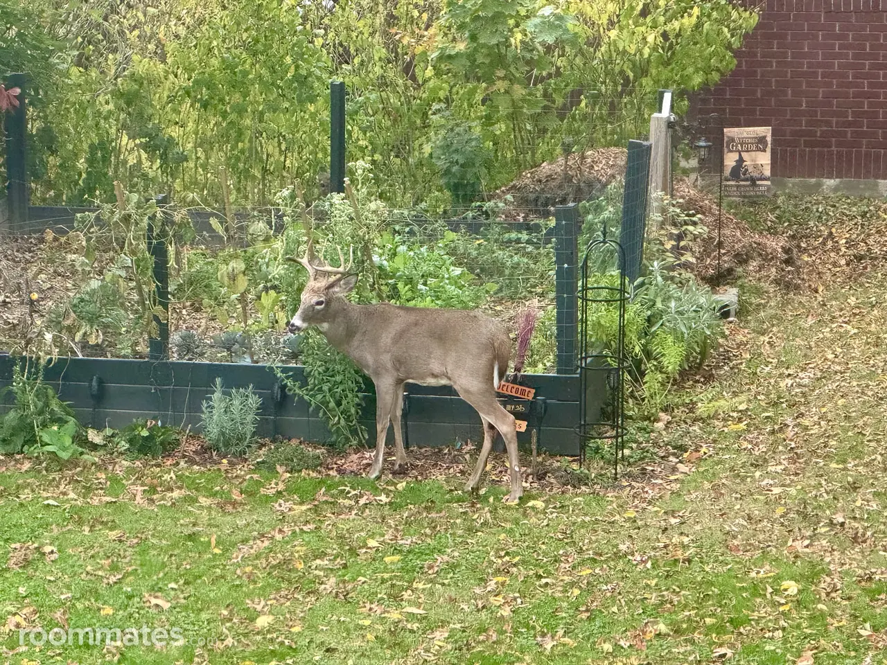 Profile photo 3 of 11