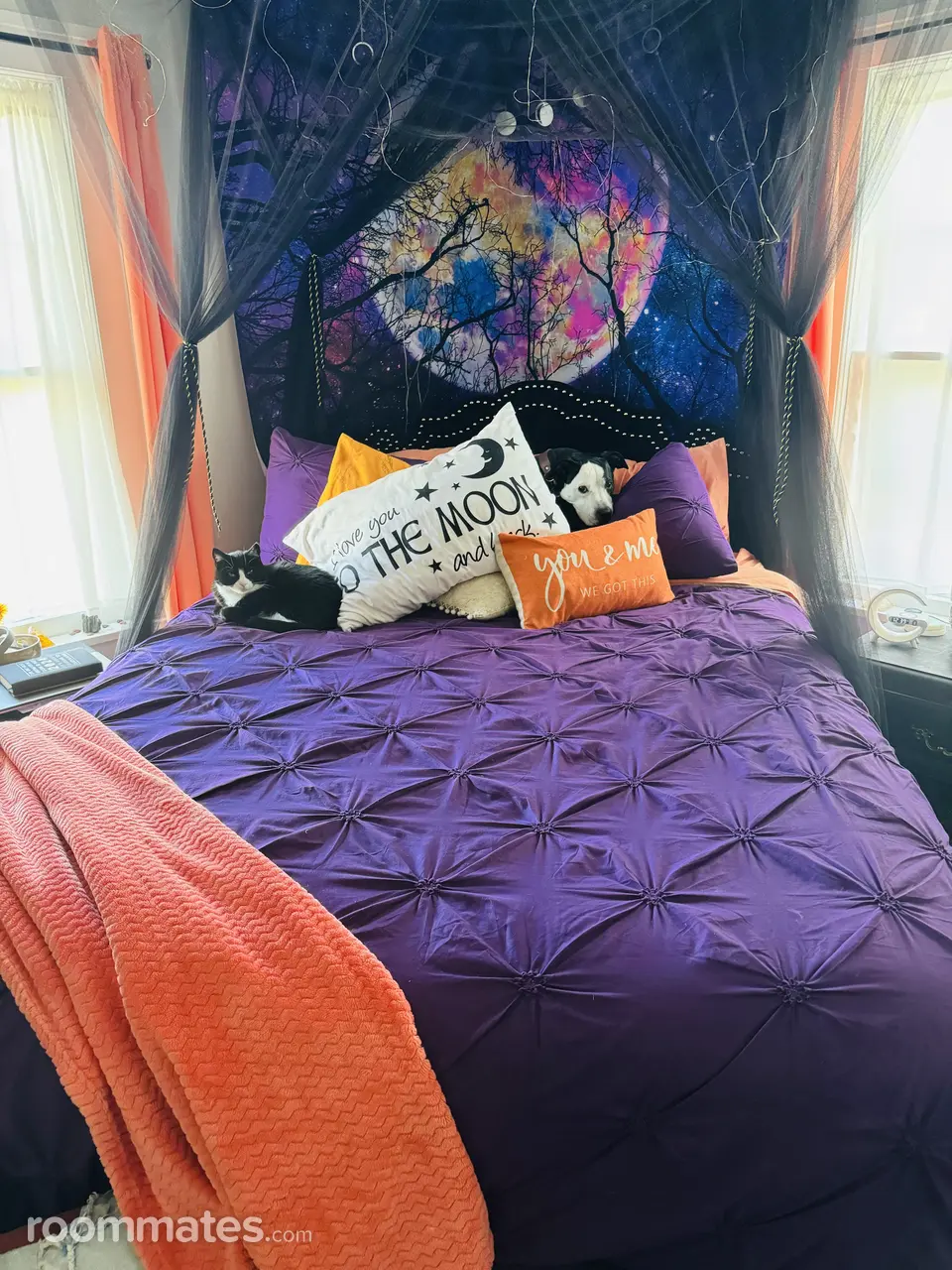 Profile photo 7 of 11