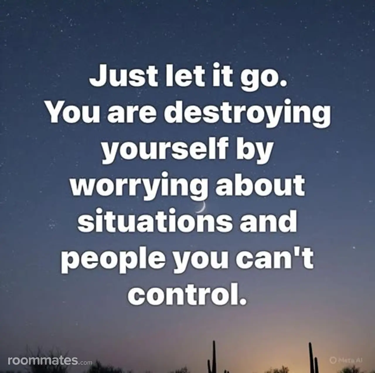 Profile photo 1 of 1