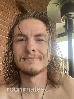 Roommate looking Saint Petersburg, FL, $900