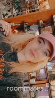 Roommate looking Madison, WI, $1100