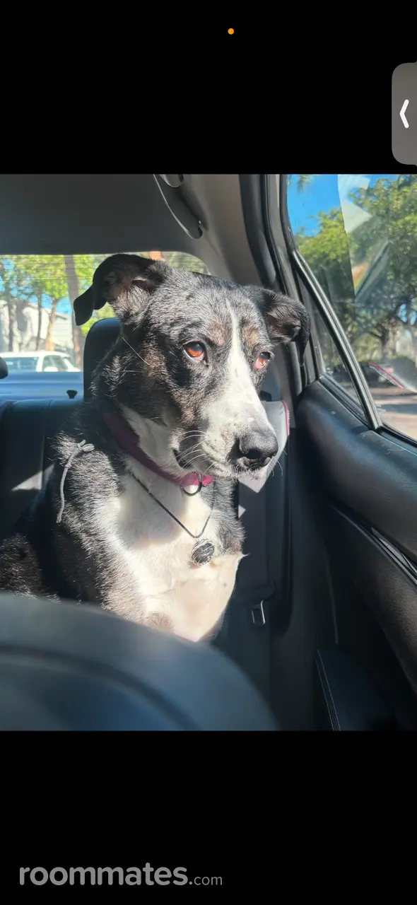 Profile photo 3 of 3