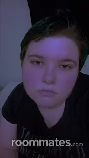 Roommate looking Port Charlotte, FL, $600