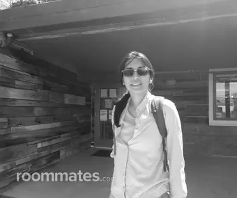 Roommate looking Catonsville, MD, $1300