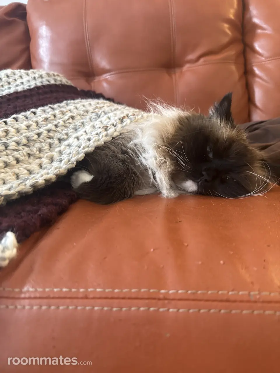 Profile photo 4 of 7